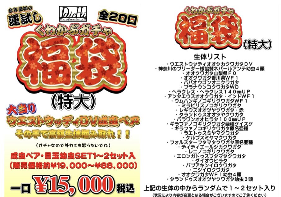 daichi_0816_KB's tweet photo. 2026新年福袋のお知らせ①
インセクトジョーカーにて
新年1月2日初売り開始時より
「くわかぶガチャ福袋」開催‼️
　
今回もウッディ＆目玉生体全力で放出します😤
詳しくは下記画像をチェック✅
　
2025年初売り時は「大」「激辛」の2アイテムが1日で完売してしまい💦
今回はさらにパワーアップした内容と数量で新年からフルパワーでかっ飛ばしていきます‼️