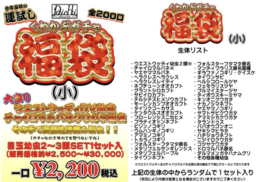 daichi_0816_KB's tweet photo. 2026新年福袋のお知らせ①
インセクトジョーカーにて
新年1月2日初売り開始時より
「くわかぶガチャ福袋」開催‼️
　
今回もウッディ＆目玉生体全力で放出します😤
詳しくは下記画像をチェック✅
　
2025年初売り時は「大」「激辛」の2アイテムが1日で完売してしまい💦
今回はさらにパワーアップした内容と数量で新年からフルパワーでかっ飛ばしていきます‼️