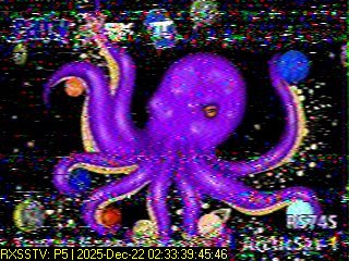 Peter Vogel tweet media