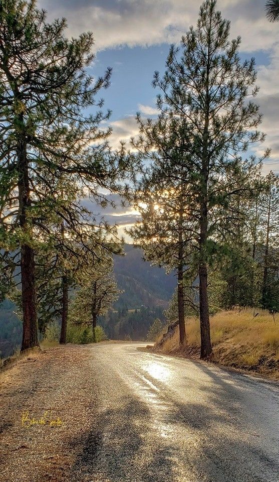 Good Afternoon X Fam🙂 

Have a great day ahead✌️