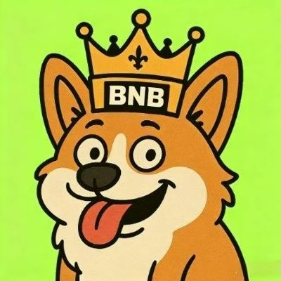DOGKING tweet media