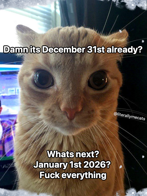 LiterallyMeCats (@literallymecats) on Twitter photo 