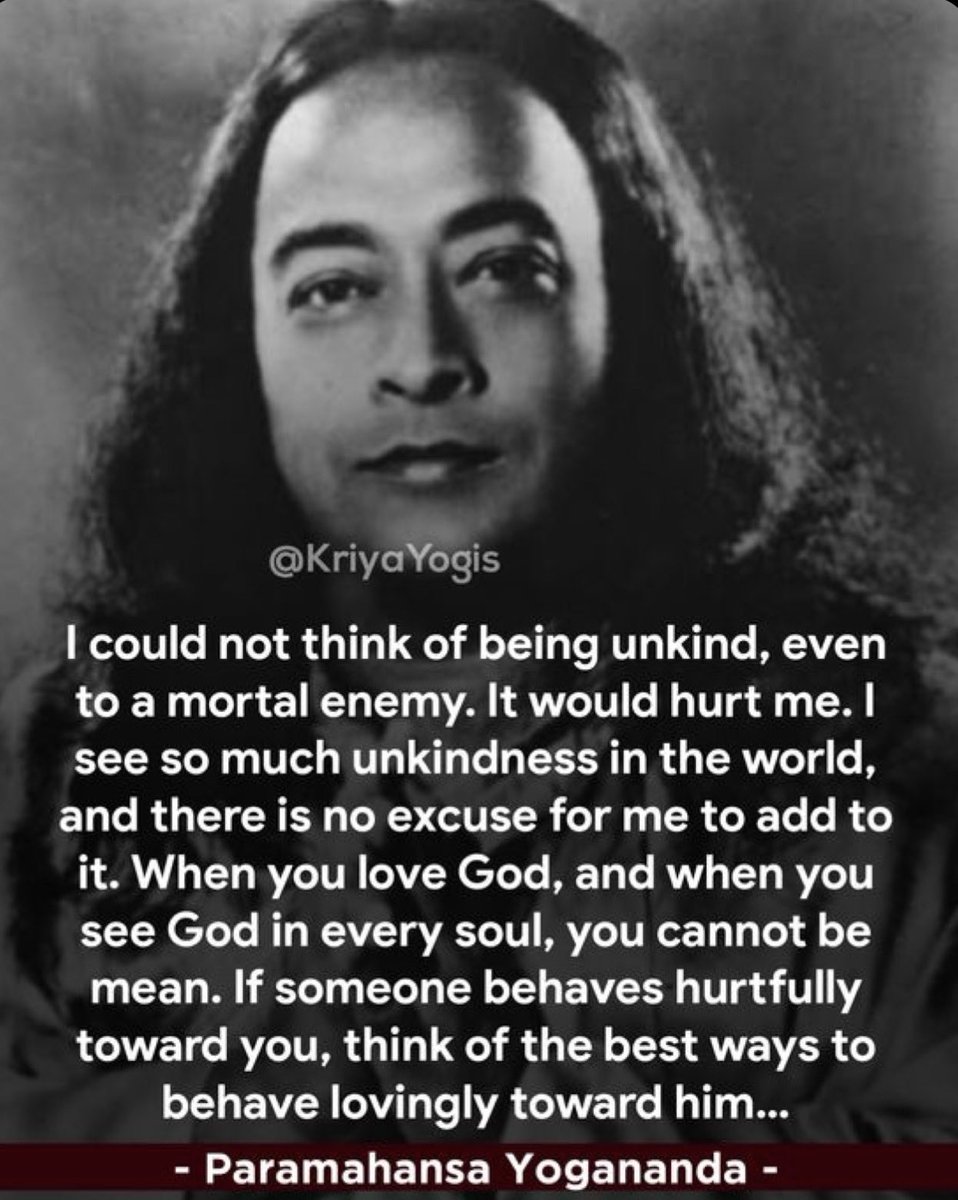 Shalini Singh (@shaliniscribe) on Twitter photo 