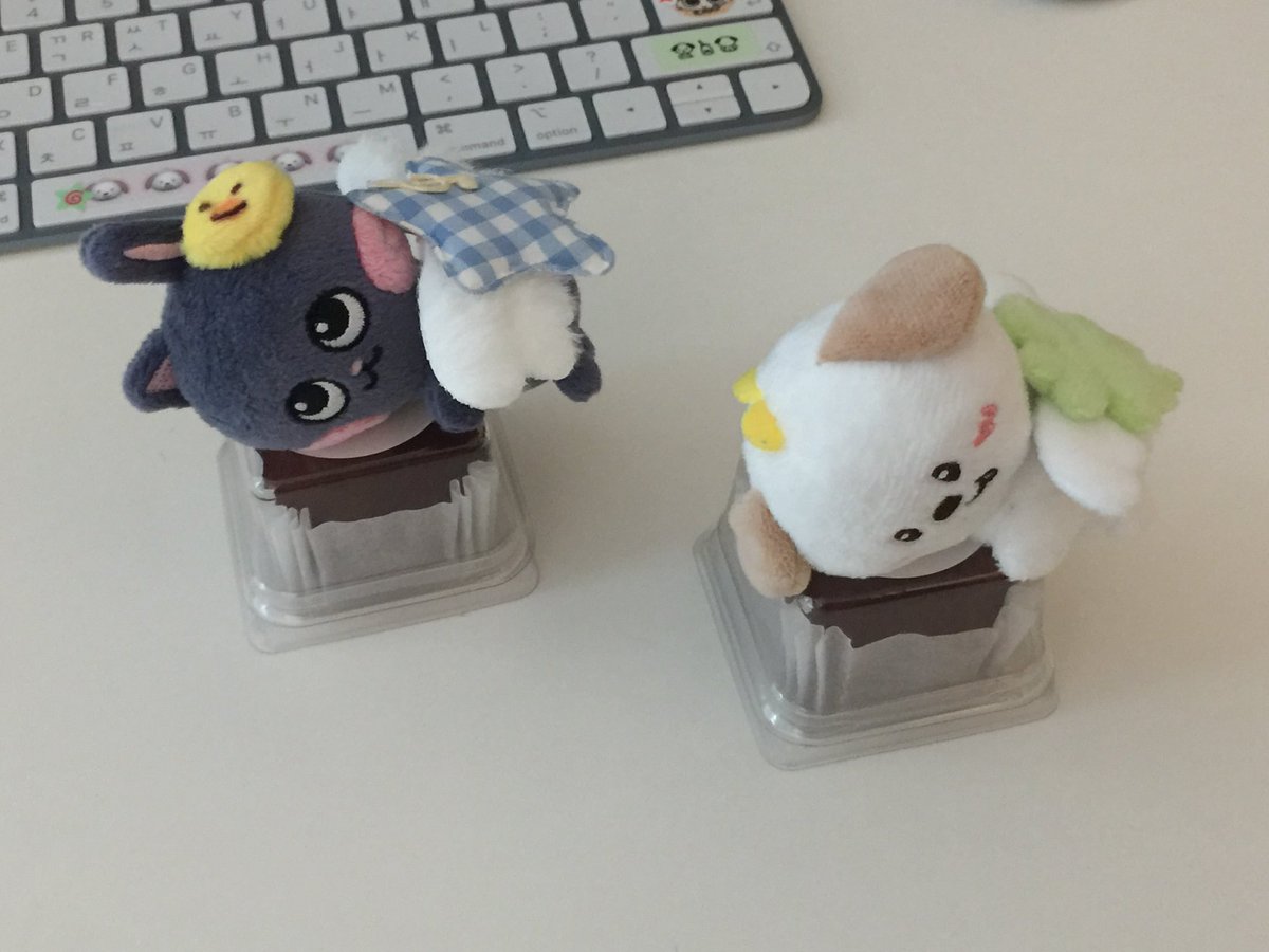 winternugu's tweet image. 2026년에도  빈앤톤 ♡ 나