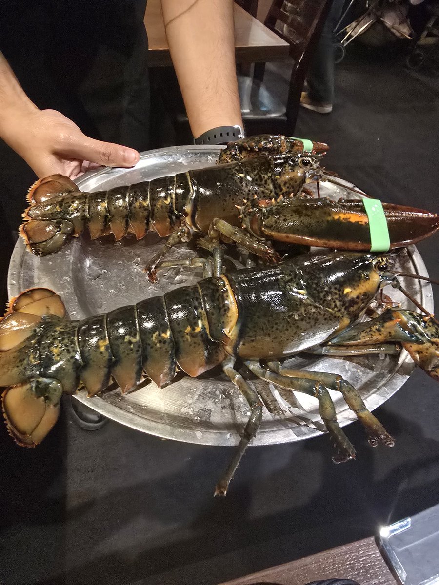 MariaScorpius's tweet image. ロブスター🦀
めっちゃ美味しかったー🤍
ｹﾄﾞﾁｮｯﾄ酔っ払いすぎたw
今年の締めくくりもまたお酒🥃だったという事で🤫
皆さん1年お疲れ様でした。
今年もお世話になりました🙇‍♀️
良いお年を～