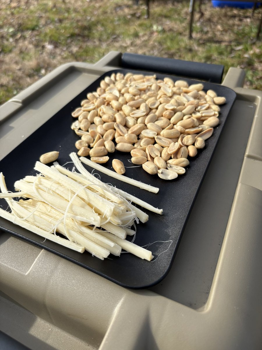 まるまるさま確認ページ♡ ⦾まるさん⦾ 専用 まるさん専用 まるさま専用 Mさま 専用