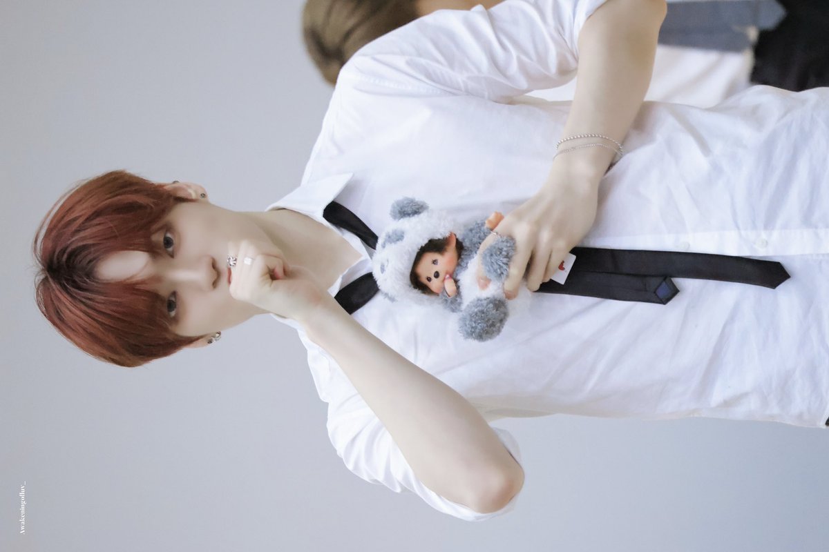 っ⩊＜ tweet media