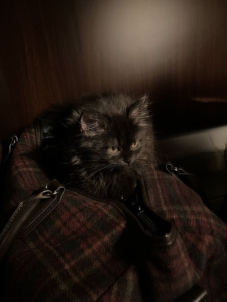 Ruesthetiic's tweet image. — at the Library. ♡