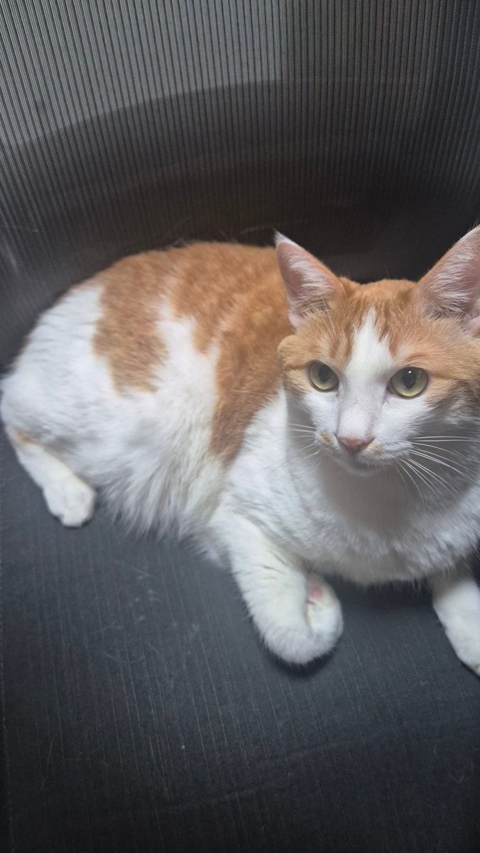 김영완 tweet media