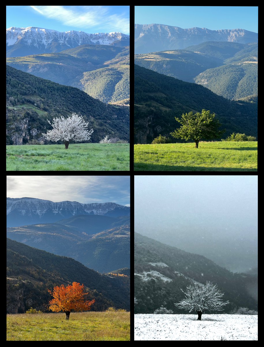 albertvillaro's tweet image. Resum de l'any.