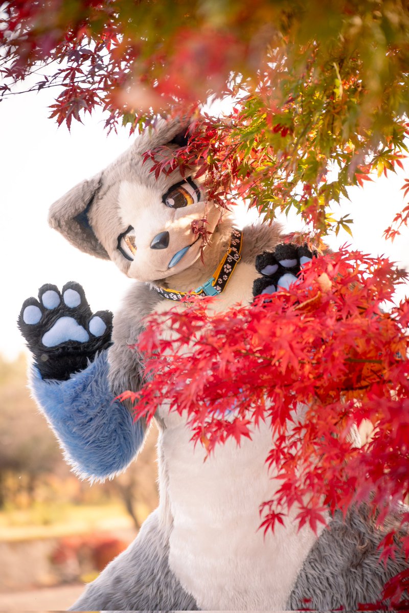 来年もよろしくね
#いぬかのなにか