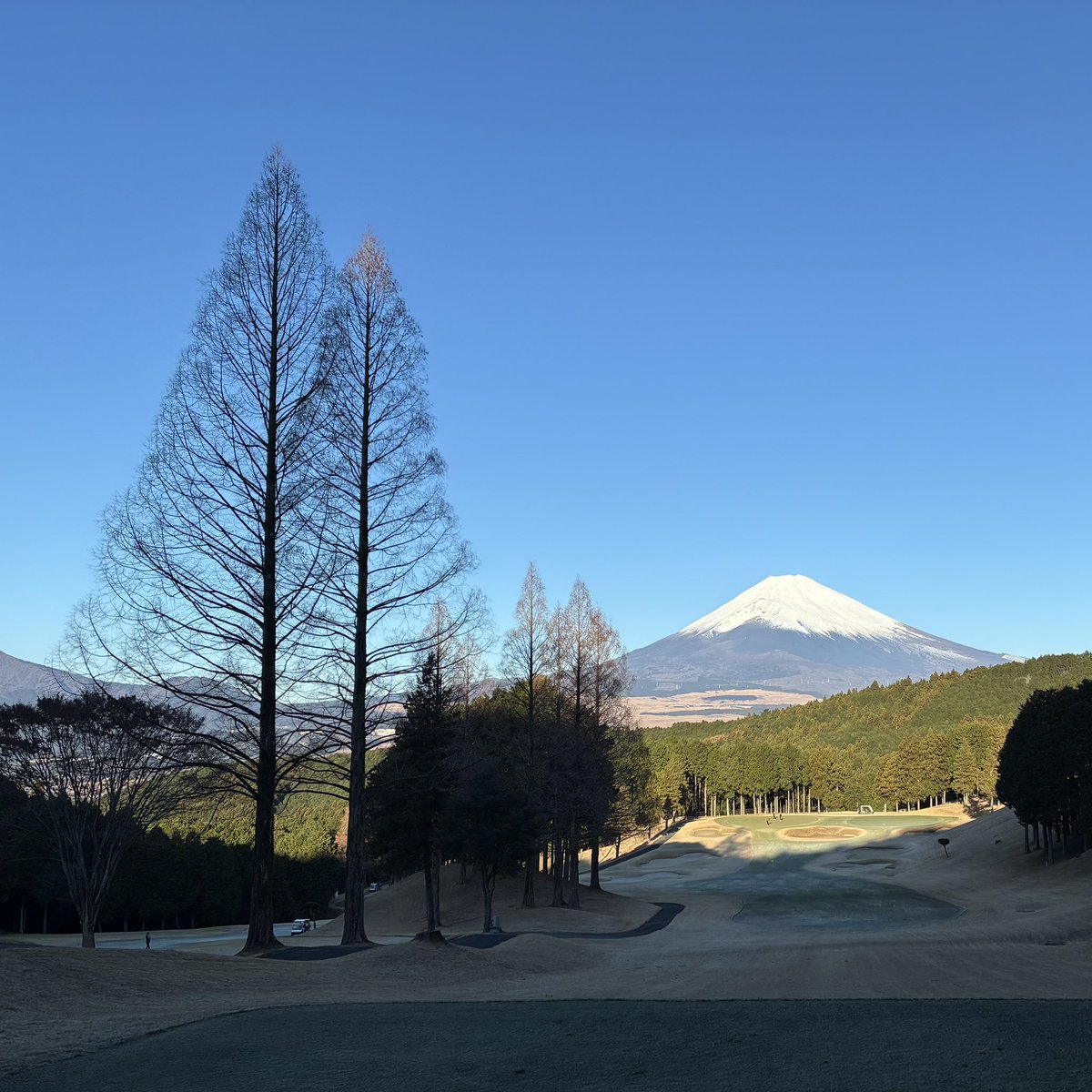 82NR's tweet photo. 今年もお世話になりました https://t.co/rwoM6o0NCt
