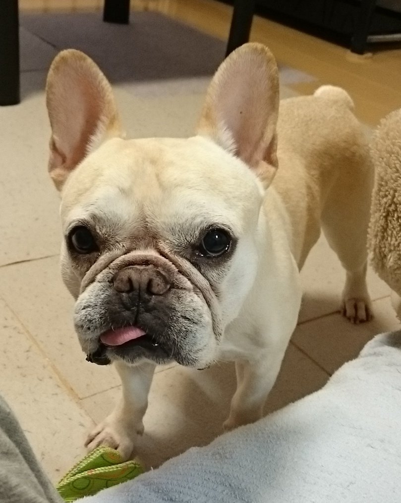 initial_kuro's tweet image. #2025年末フロントショットグランプリ
要求顔😅