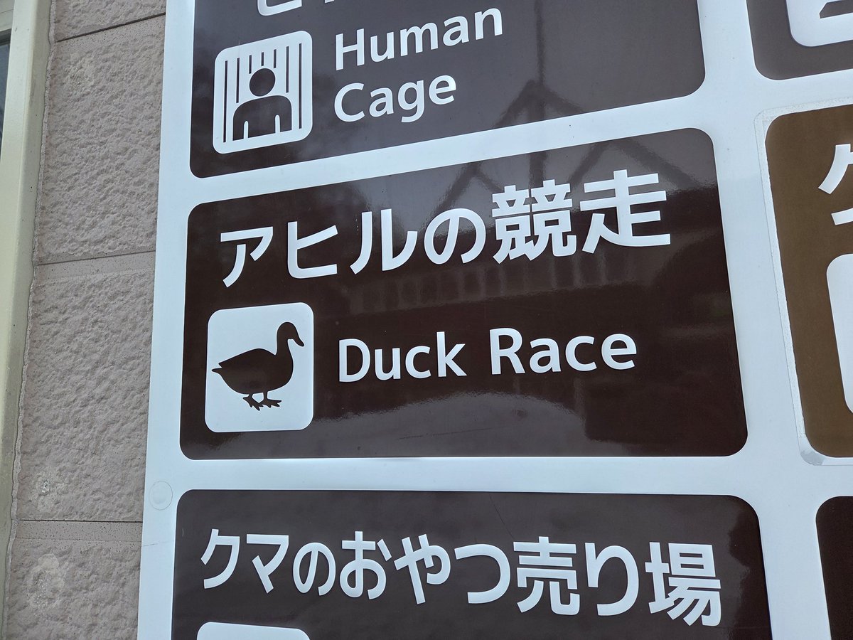 오리경주 반드시가야겠죠?