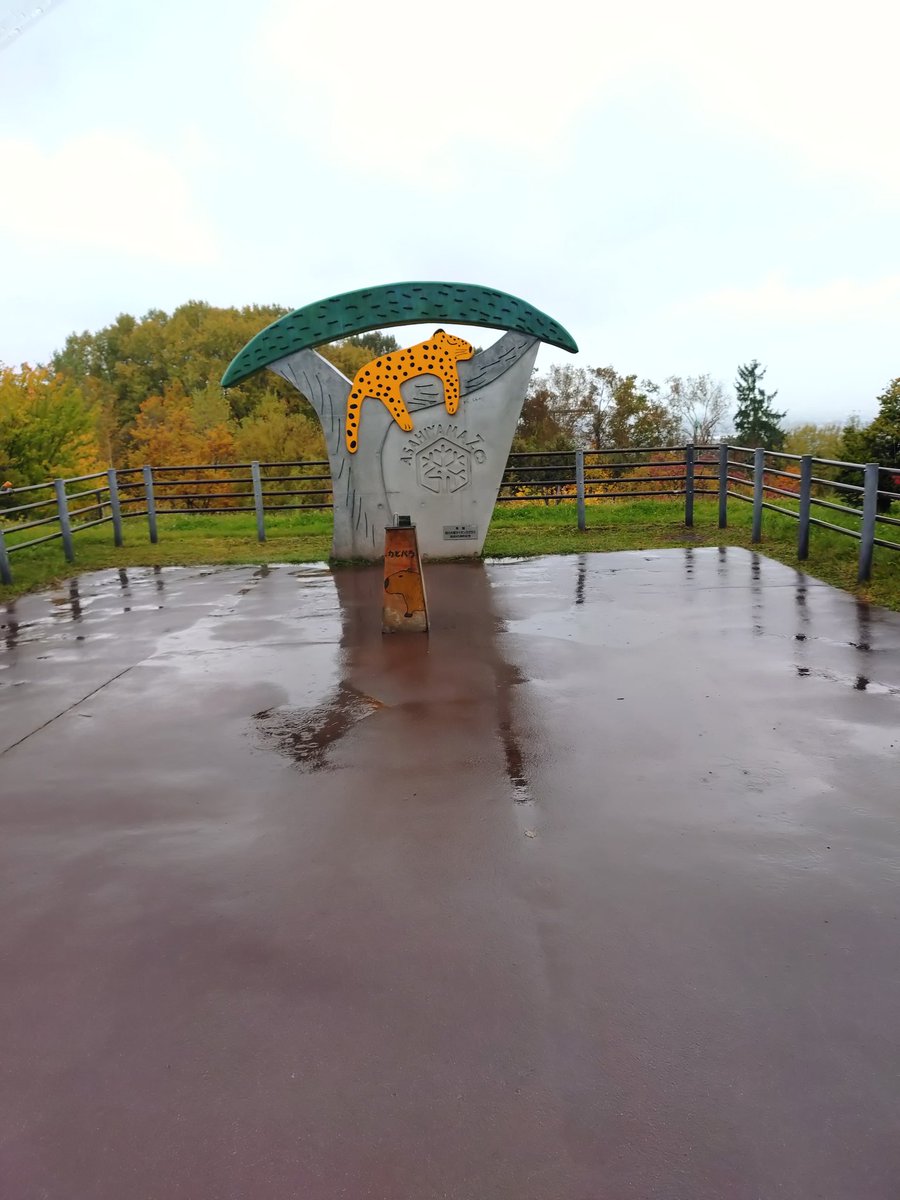 リュウト🐾🐾 tweet media