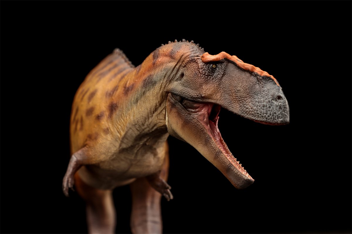 BIGNICK (@BIGNICK688882) / Posts / X