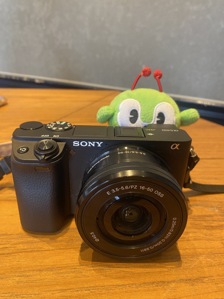 撮ってくれようとしているみんくる
(届いていない)