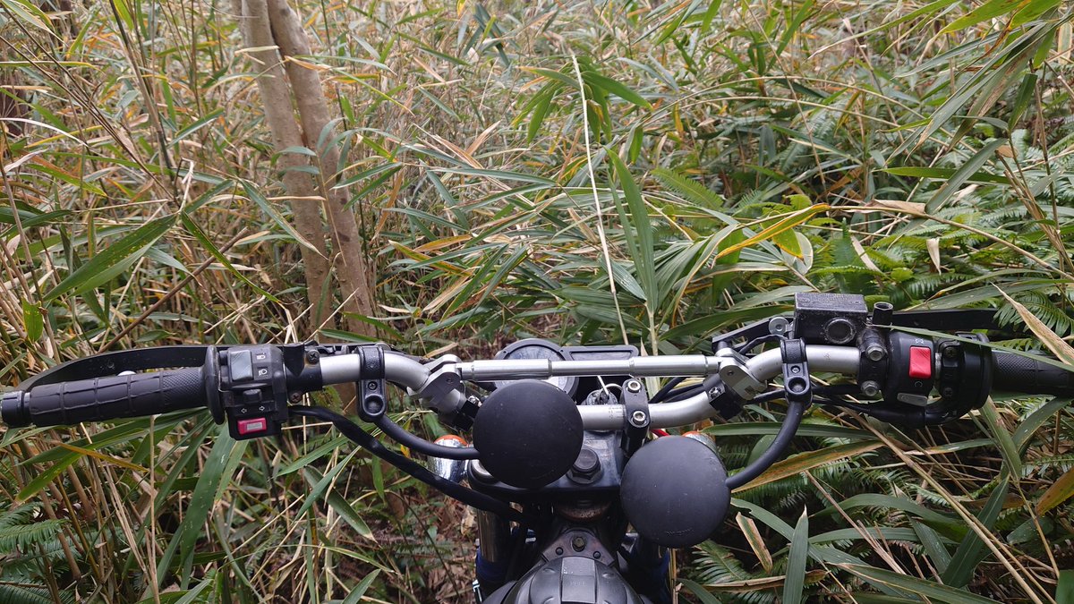 Cat_parallel's tweet image. 走り納め！

綺麗に丸太が越えられない🥺

皆さん今年はお世話になりました！
来年もよろしくお願い致します🙇