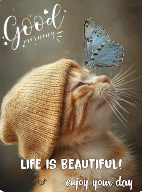 Goeie môre ☕ Awesome Woensdag vir jou 🌞 En voorspoed vir jou in 2026 🙏🏻