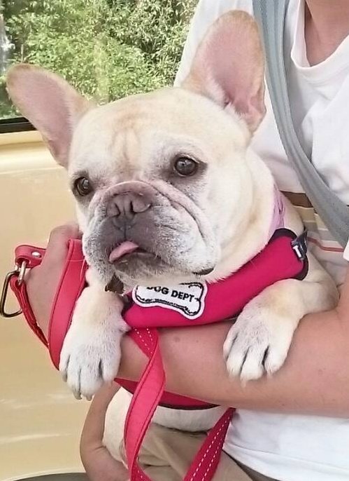 initial_kuro's tweet image. #2025年末フロントショットグランプリ