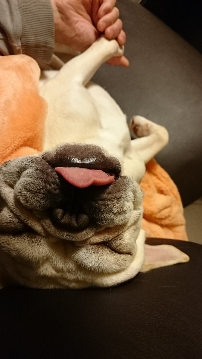 initial_kuro's tweet image. #2025年末フロントショットグランプリ