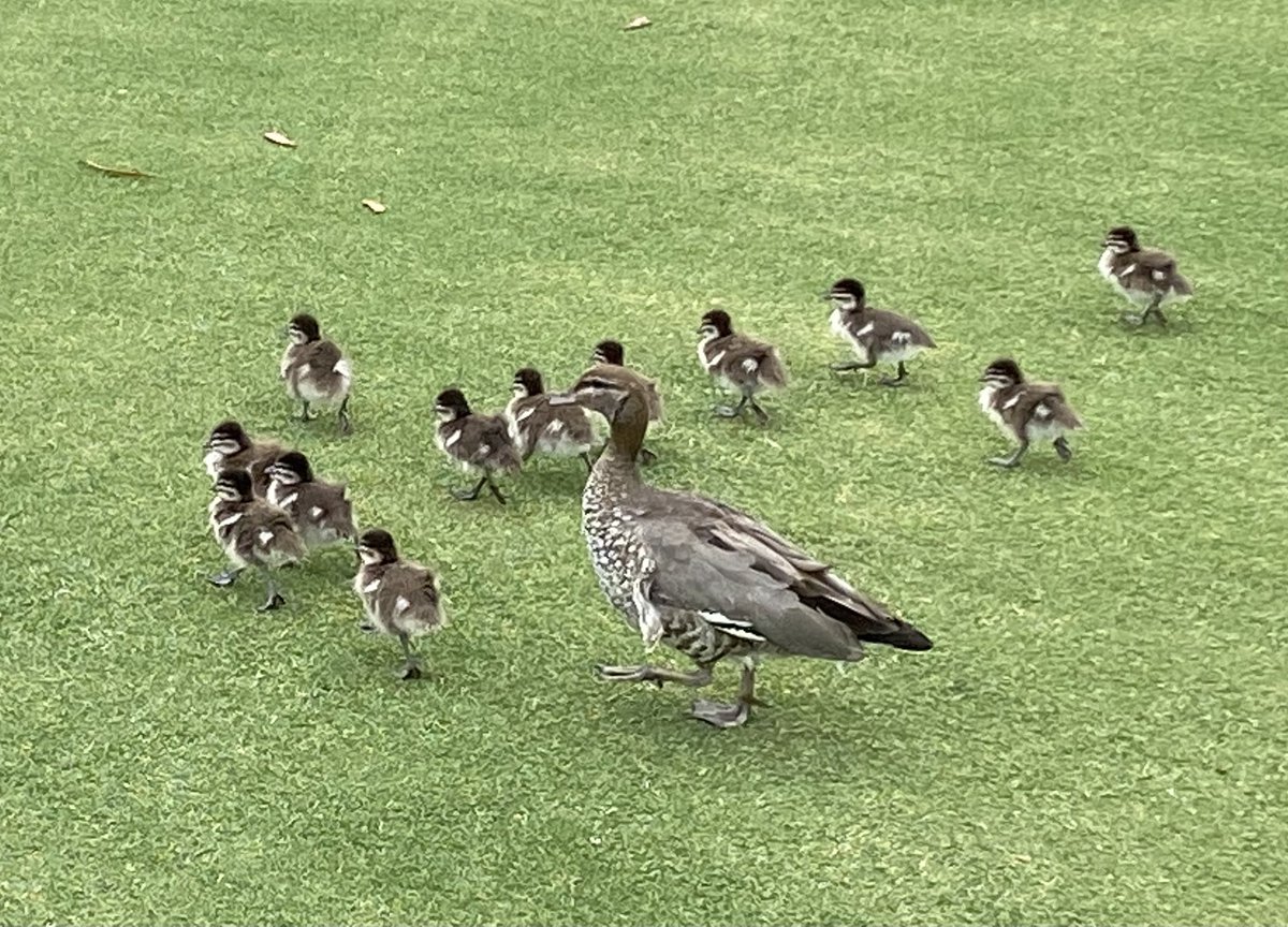 Tommy Condell tweet media