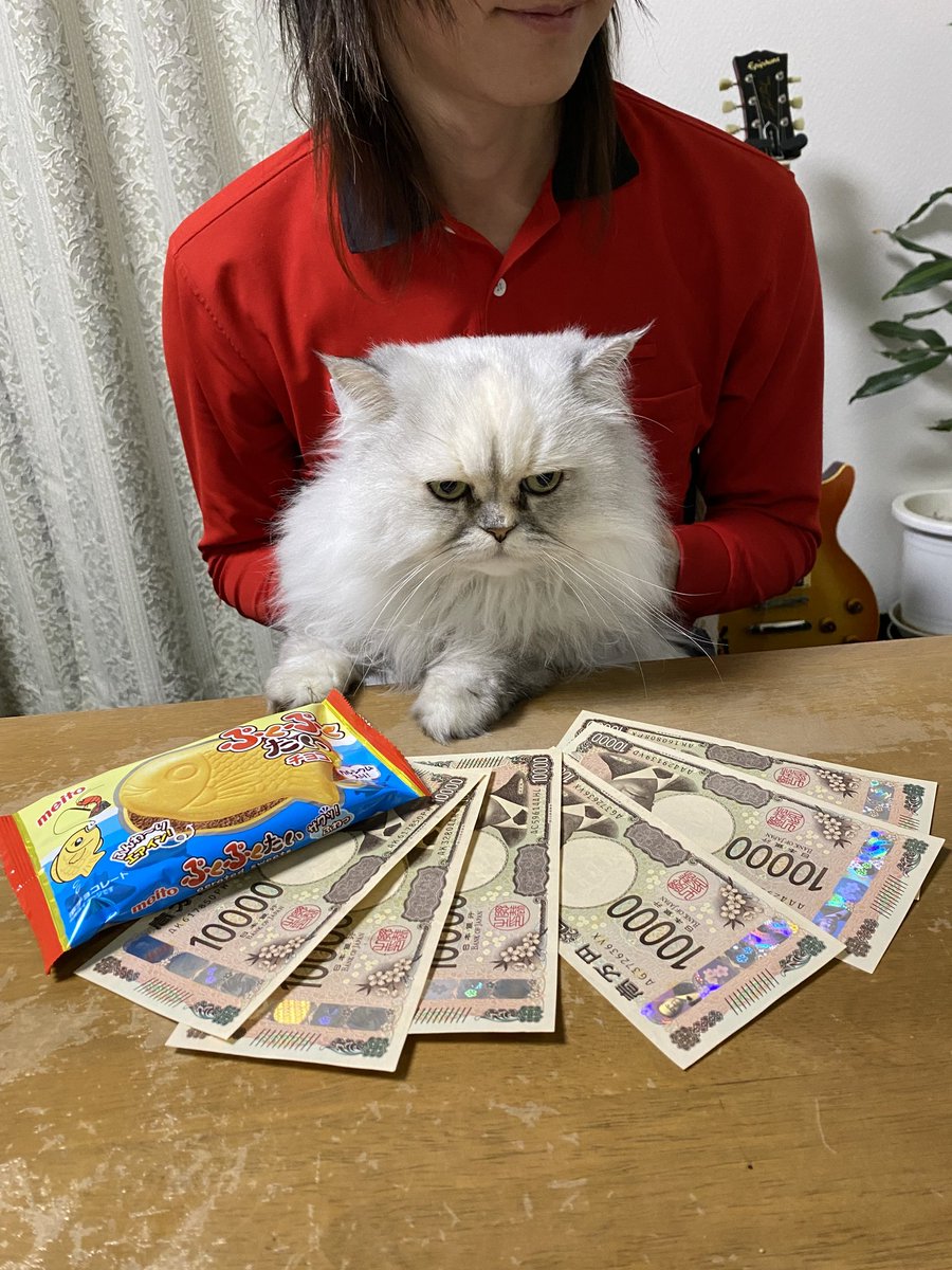 今年最後のみかじめ料をいただくわ
タイのおまけつきよ