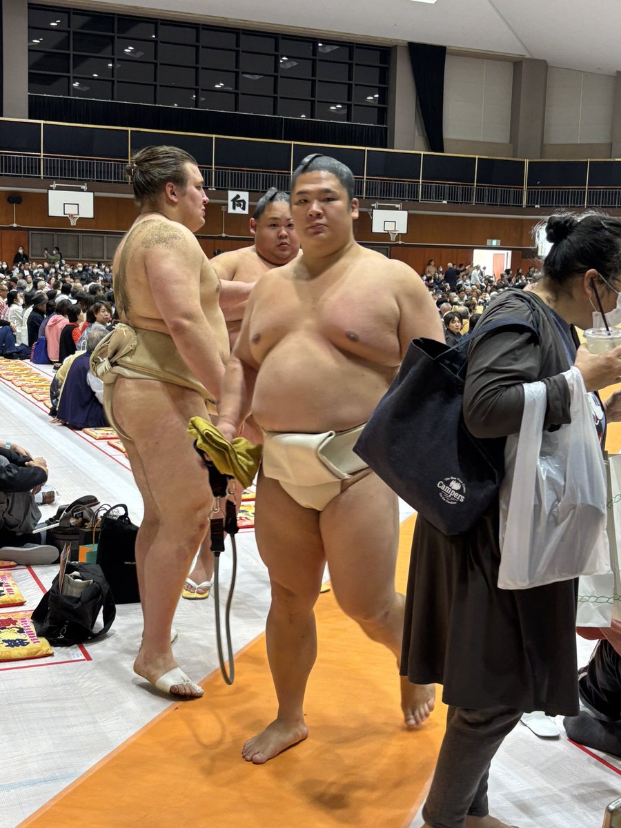 sumo