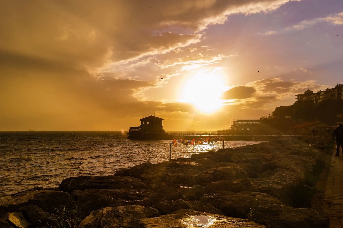 Av. Şerdil Dara Odabaşı tweet media