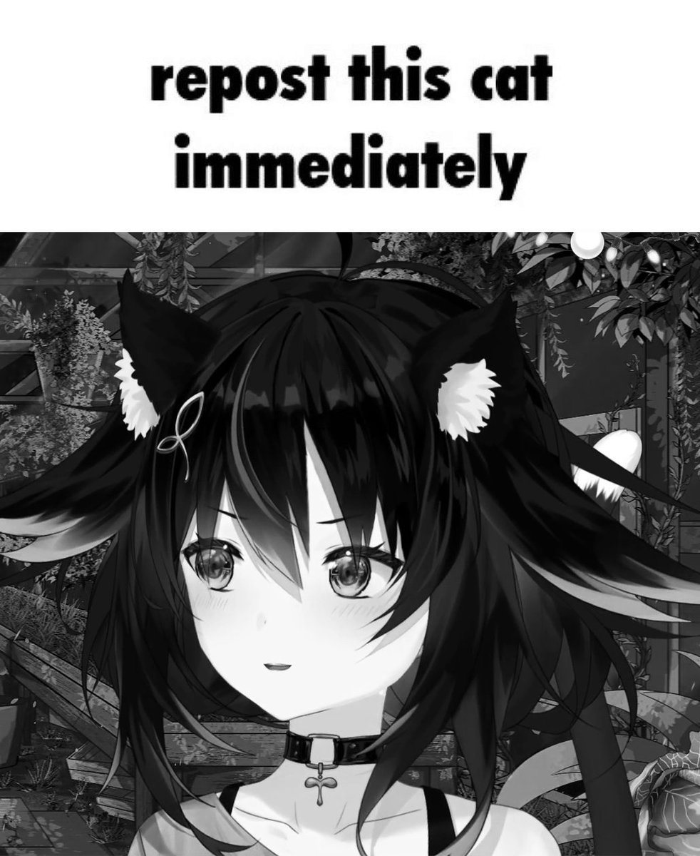 iamBirdyOvo's tweet image. i really didn't want to do this and i really didn't want to bring up drama but...

i've Made a sudden Realization. 

i've discovered why chat constantly calls Me a Catgirl and

it's all because of @bajiru_EN . i'll begin writing my go0gle docky a$ap