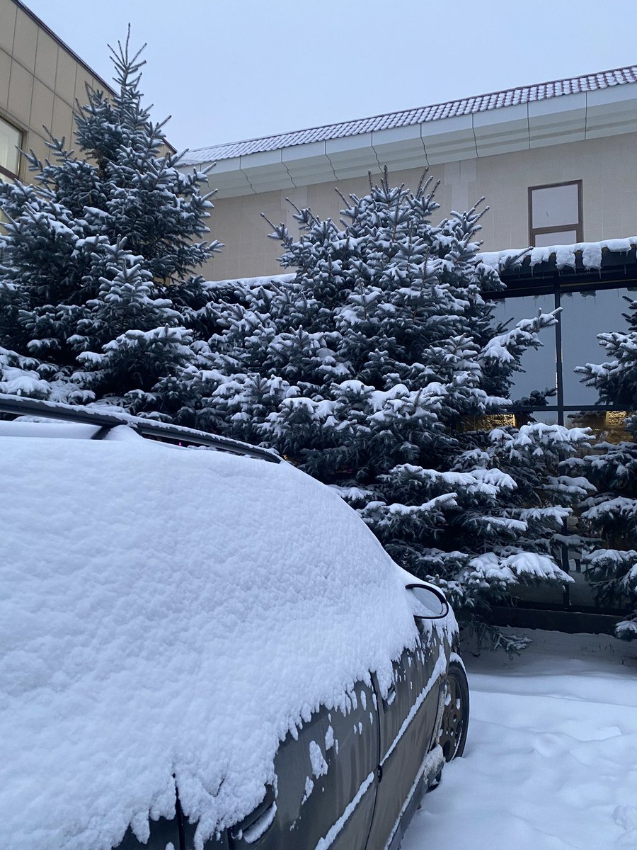 Утро 31✨🎅🏻🎄🌬️