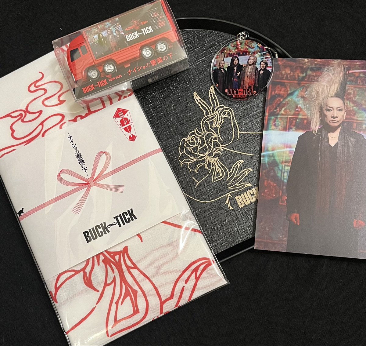 BUCK∞TICK 2025.12.29 #BUCKTICK #武道館 #ナイショの薔薇の下