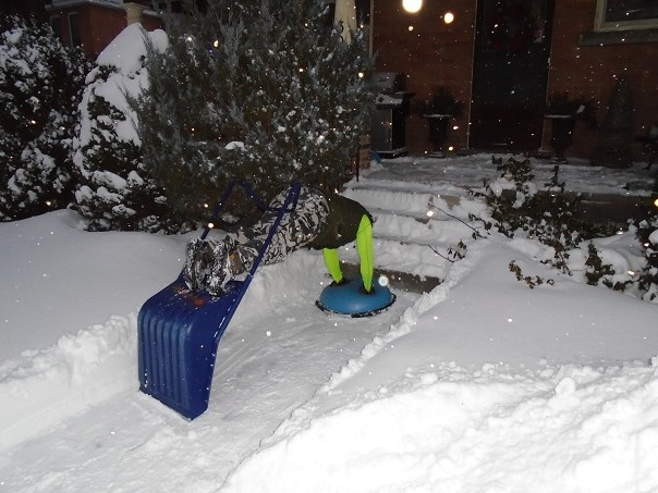joshuaeeriksen's tweet photo. In the city, using snowshovel with bosuball, go for a 3 set 39 rep weighted declined plank suspension pushups then add progressive resistance overload for desired effect. #Proverbs14:23-24 #stayingalivein2025 #fattofitnoquit #fightyoflight #fababs #icanucantoo #generationjoshua
@ https://t.co/pubgbrerAh