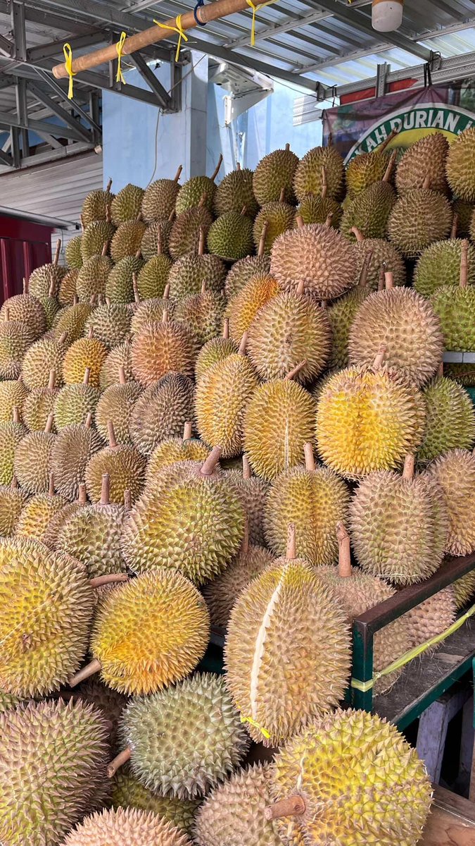 Udah musimnya nih, pendamping yg cocok apa?