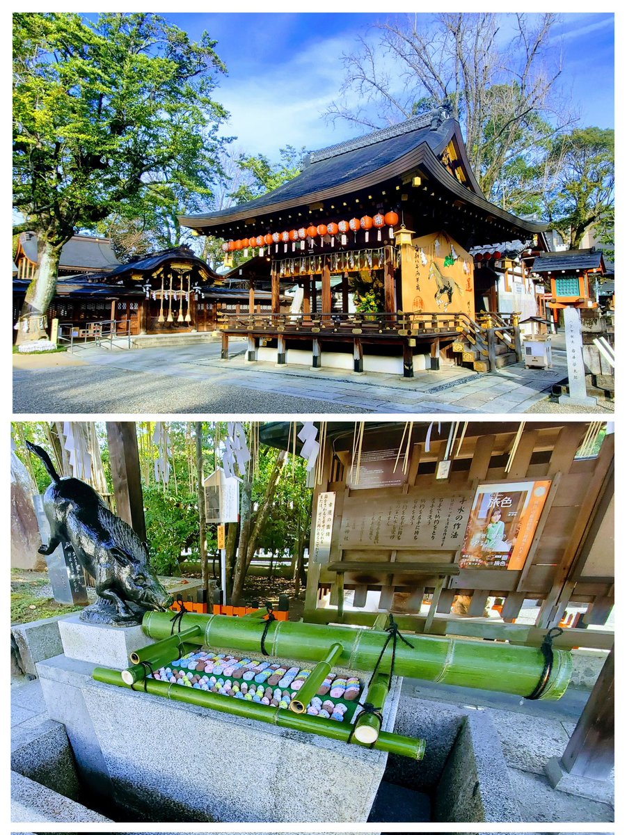 mayumi (@4408mayumayu) / Posts and Replies / X