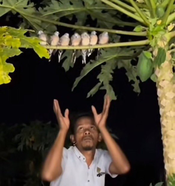 Technical Ben tweet media