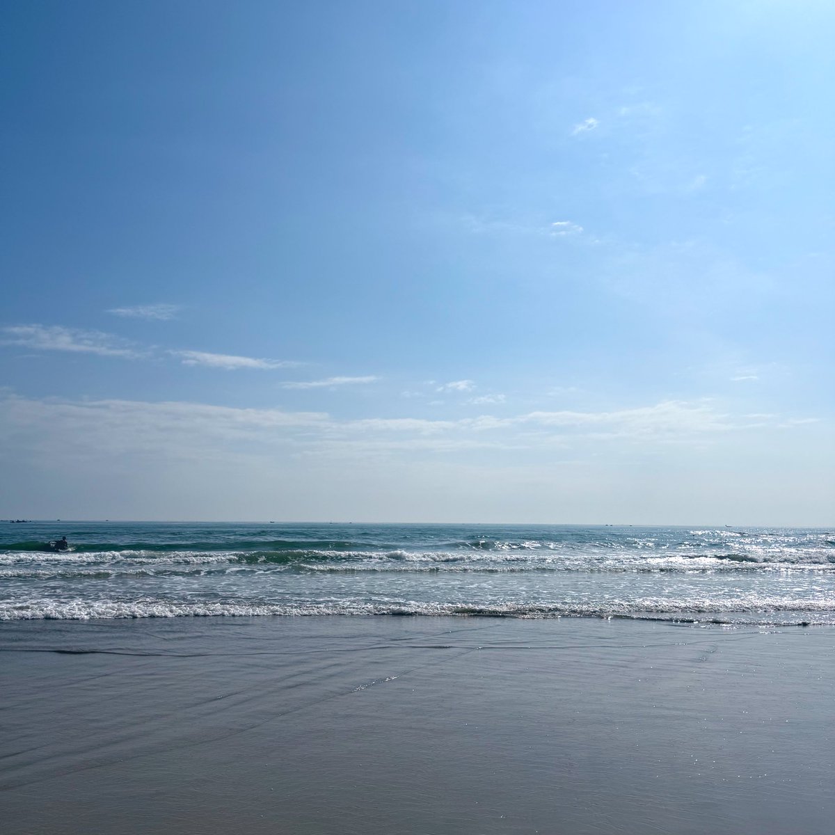 ぱぴ子®️ tweet media