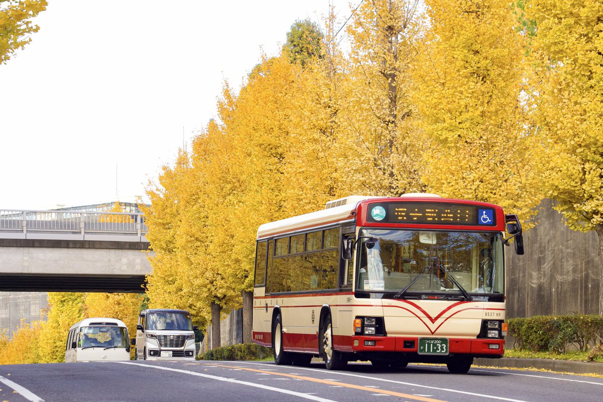 ビビ (@jo231531) / Posts / X