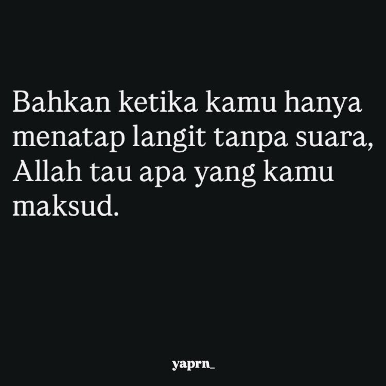 - (@_catflowers) on Twitter photo 