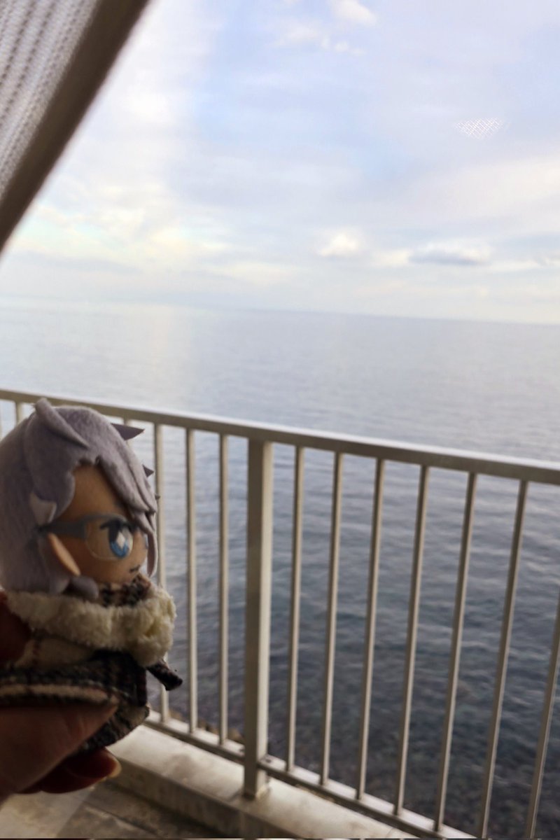 海だよアズちゃん
一緒に初日の出見ようね

#twstぬい撮り部
