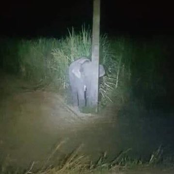 you_r_mybae's tweet image. แทยง : ปิดขนาดไม่มีใครจำเราได้หรอก