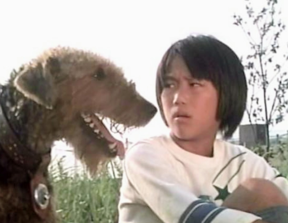 坂上忍さん 作品は、『ふしぎ犬トントン』