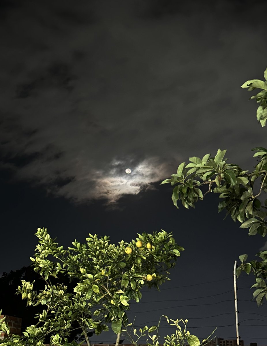 ValenSalcedoo's tweet photo. Sean felices que la vida es un ratito🌔😍 https://t.co/zdTvlL2aNP