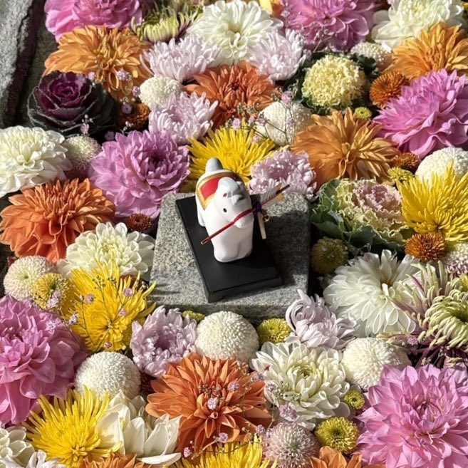 宇佐八幡神社 tweet media
