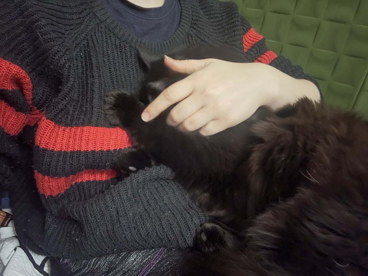 Давно он так ко мне не походил полежать