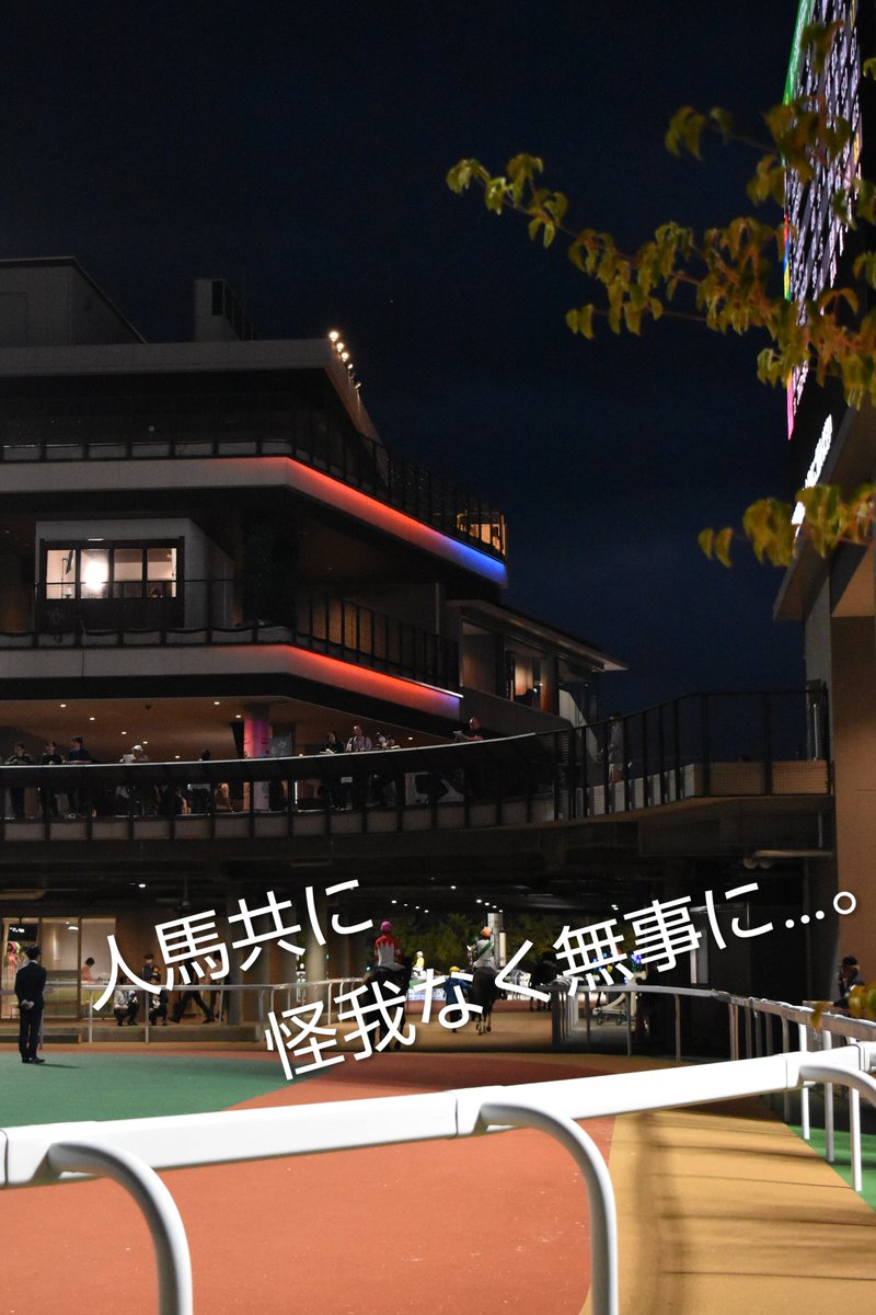 モトテツ🐎✨…😸💕🐲 (@mototetsu1X8X11) / Posts / X
