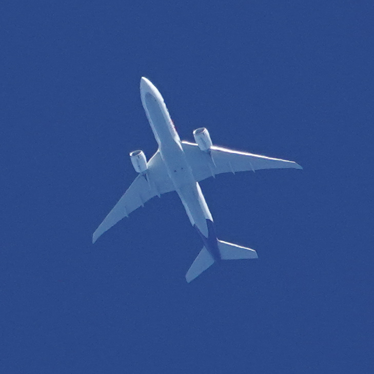 ponta70718103's tweet image. 過日（2025）の #FedExExpress
・FX5156便B767-300F(N106FE)  NRT→TPE  36,000ft. (4/7)
・FX49便B777-F(N888FD)  ANC→TPE  38,000ft.  (4/26)
・FX79便B777-F(N893FD)  ANC→HKG  30,000ft.  (6/16)
・FX49便B777-F(N873FD)  ANC→TPE  38,000ft. (11/15)
 #FDX #freighter #エアカーゴ #上空通過機