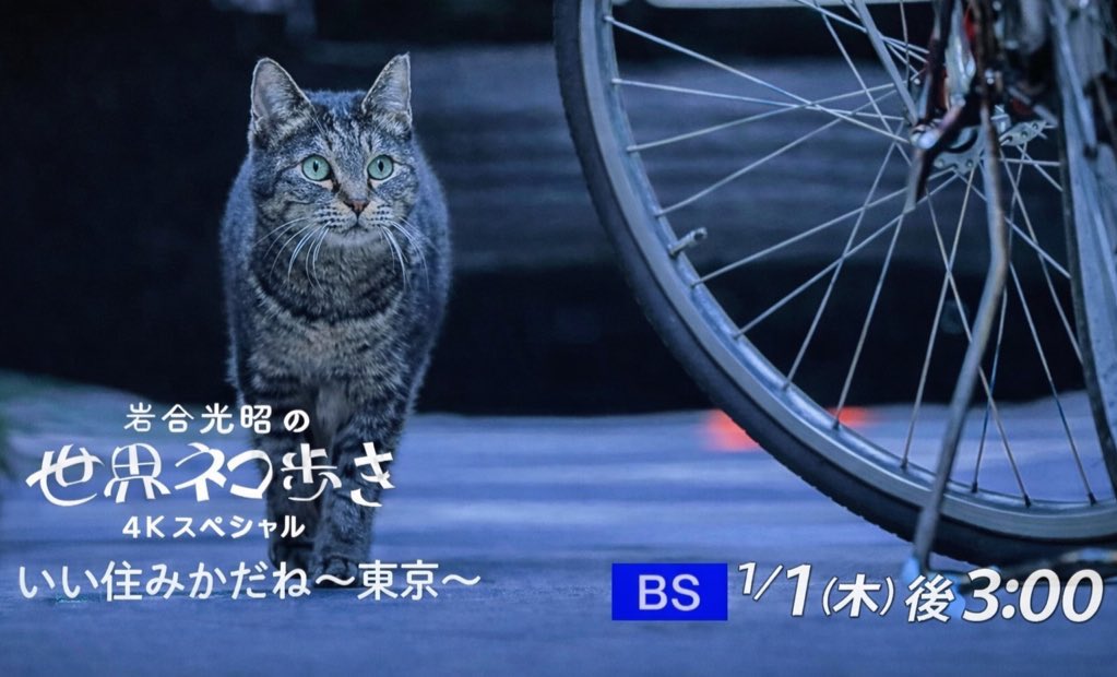 元旦の午後、ちょっと嬉しいご報告。

1月1日（木）15:00〜NHK  BS
「岩合光昭の世界ネコ歩き」に
当店のヌコさんが出演します。

歌舞伎座裏、いつもの場所で
いつも通りのヌコさんをお楽しみください。

ヌコさん公式ファンクラブ▶︎ lin.ee/JudnYUw