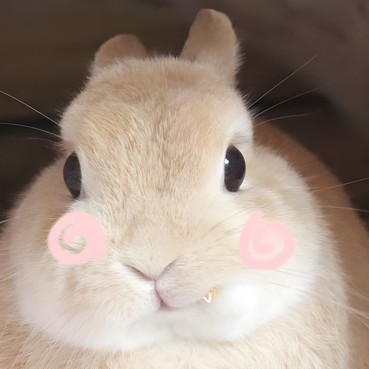 แม่นมเปล่าน้า 🥹😍 เค้ามาเองงงงงง 🍼💟

KNP THEMALL NEWYEAR26 
#KengNampingxTheGreatNewYear