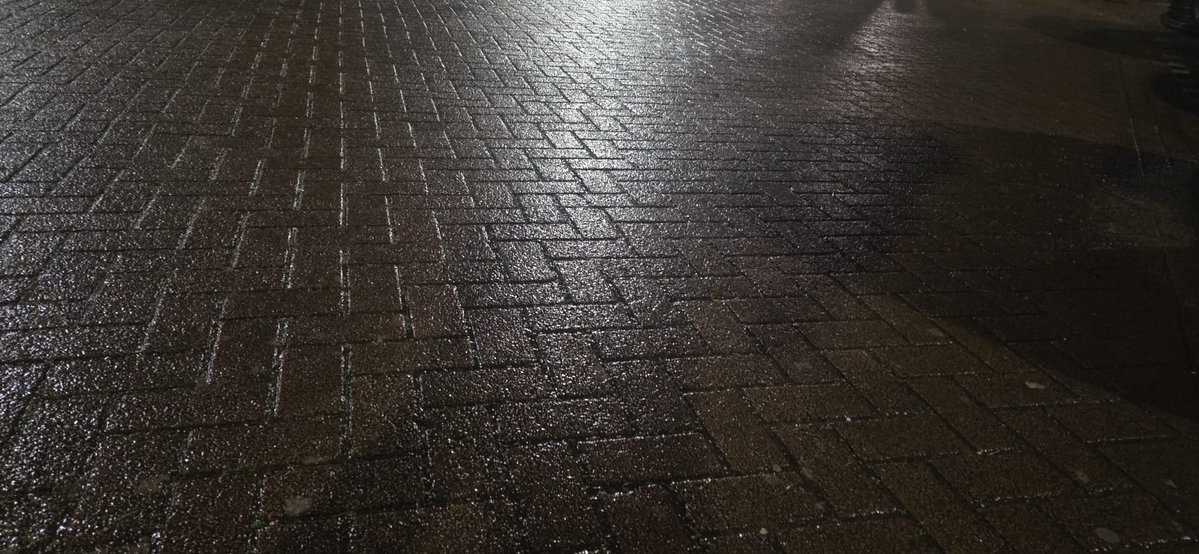 Ik dacht naar mijn werk te gaan....maar ik kom met deze ijsbaan niet ver....